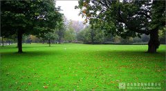 我國園林綠化苗木產(chǎn)業(yè)三大趨勢與八大特色